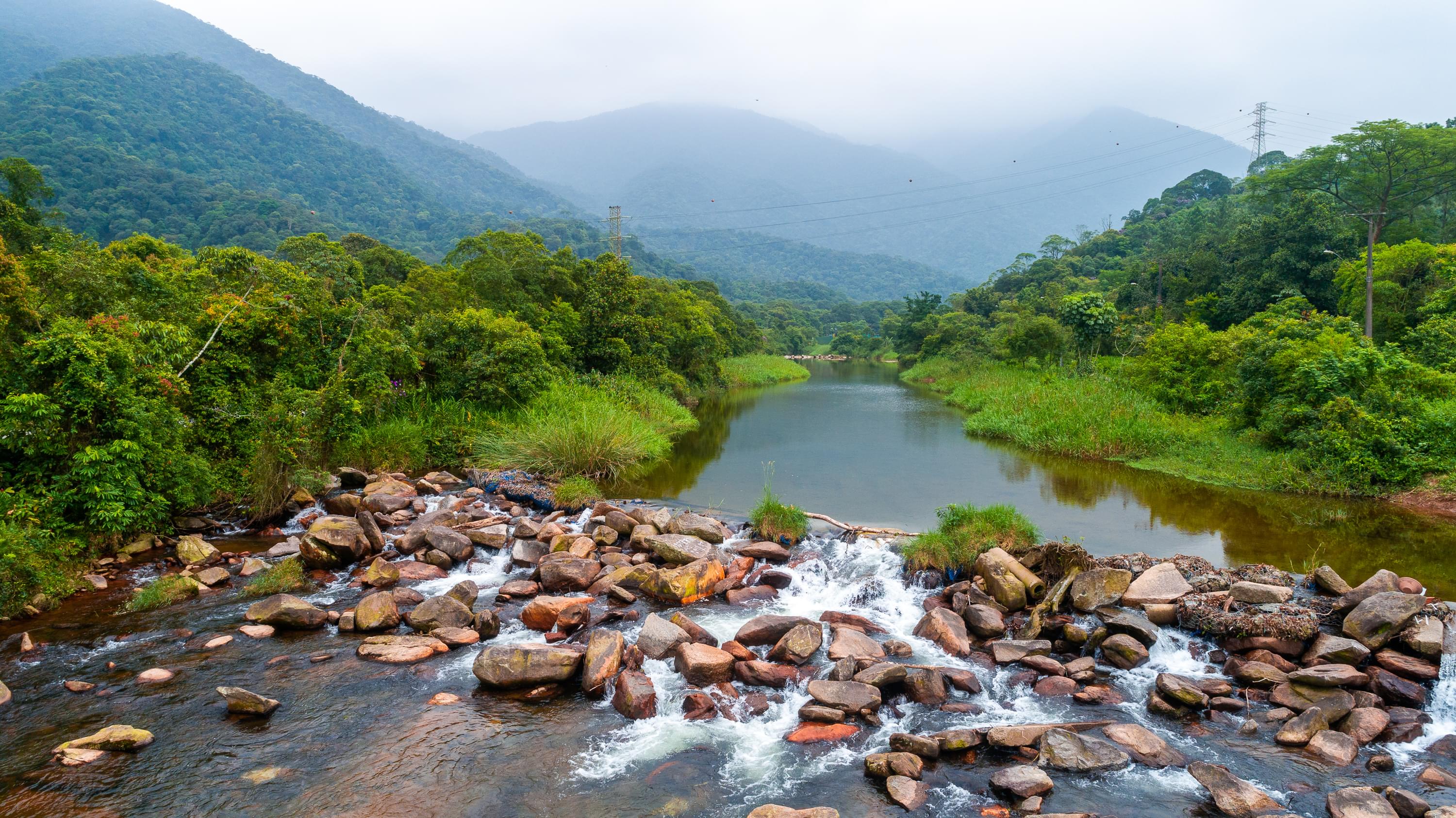 Sustentabilidade | Petrocoque